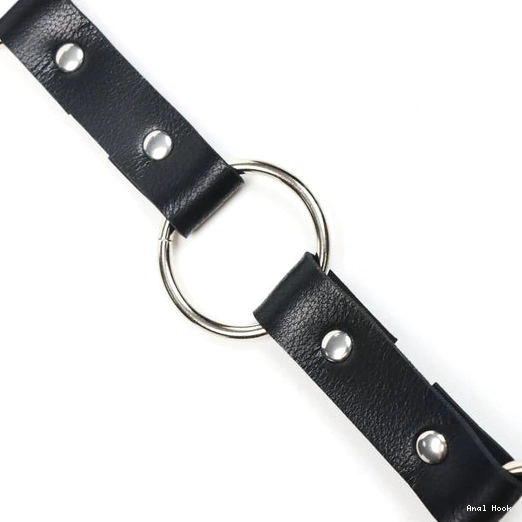 5853 Collar Hook Leash Anal and EverydayUse Kinky with 0122